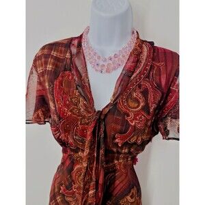 Vintage Fairy Y2K Flutter Dress Chadwick’s Floral red  Poly  Garden Party 14